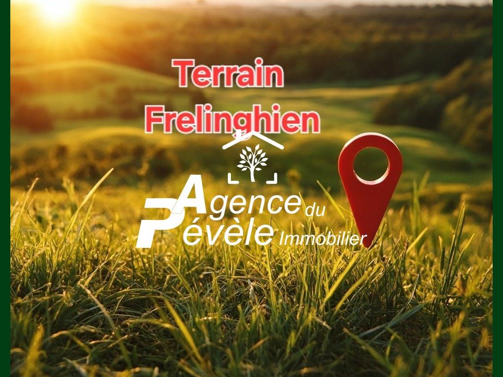 FRELINGHIEN