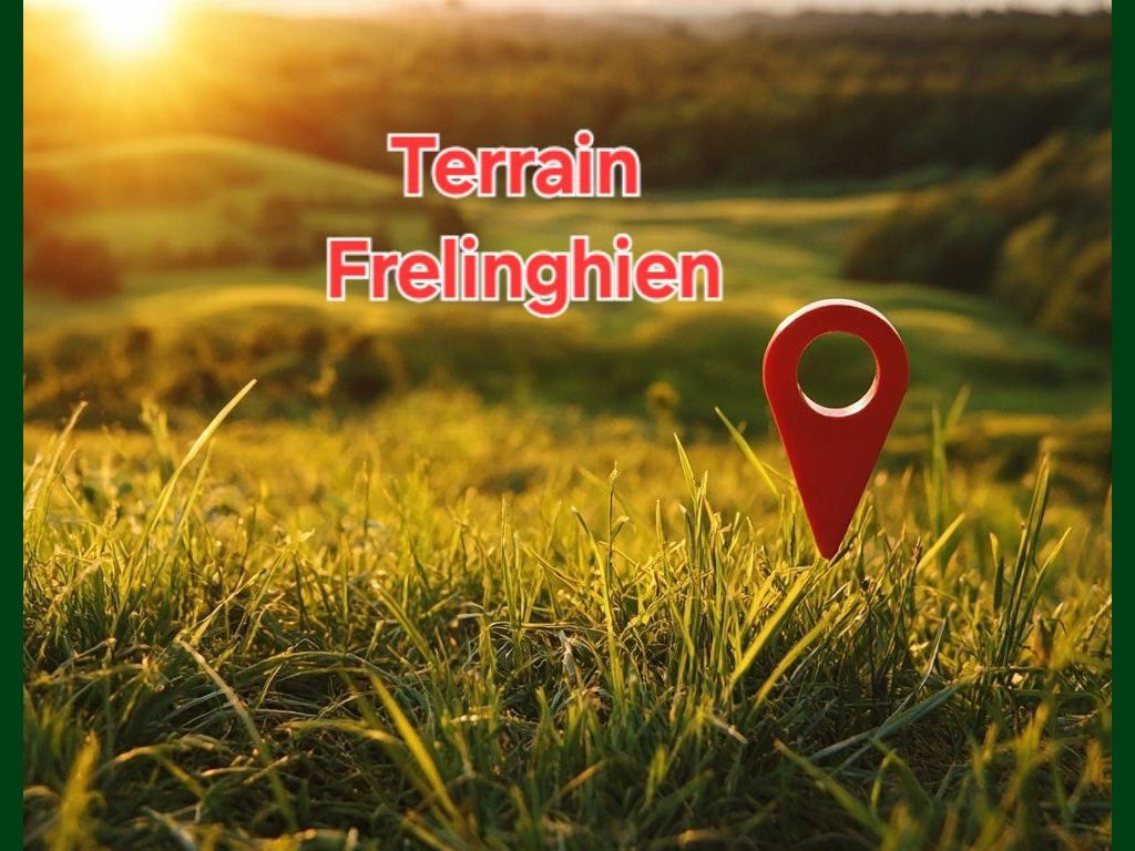 FRELINGHIEN